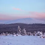 Alveus - Nordic Design In Yllaes