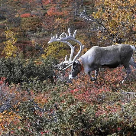 דירה Alveus - Modern Design Villa, 3 Bdr קולארי