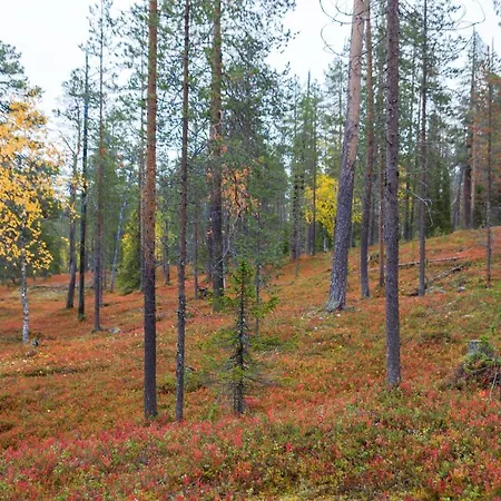 Alveus - Nordic Design In Yllaes * Kolari