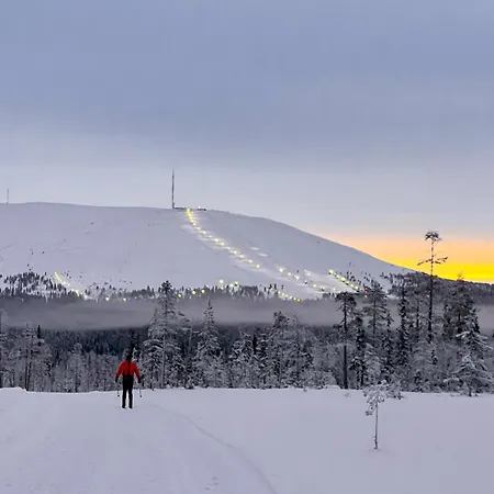 Alveus - Nordic Design In Ylläs Huoneisto Kolari