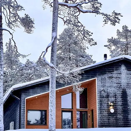 Alveus - Modern Design Villa, 3 Bdr *