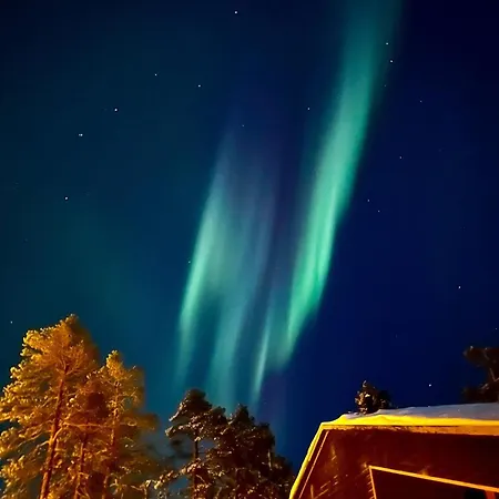 Alveus - Nordic Design In Yllaes Kolari