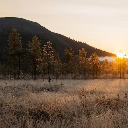 Alveus - Modern Design Villa, 3 Bdr