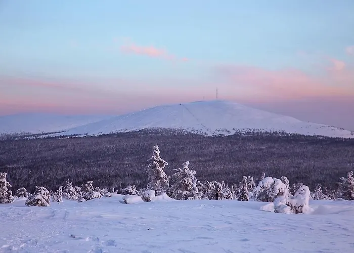Villa Alveus - Nordic Design Cabin In Yllaes