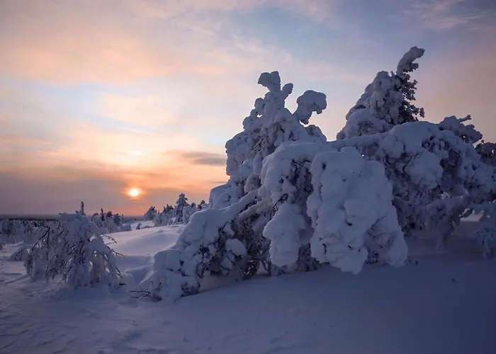 Villa Alveus - Nordic Design Cabin In Yllaes 아파트 *