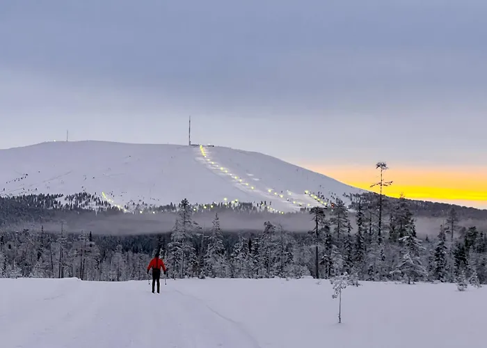 Villa Alveus - Nordic Design Cabin In Yllaes 아파트 콜라리