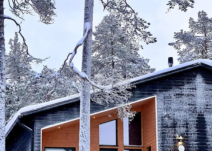 Villa Alveus - Nordic Design Cabin In Yllaes *