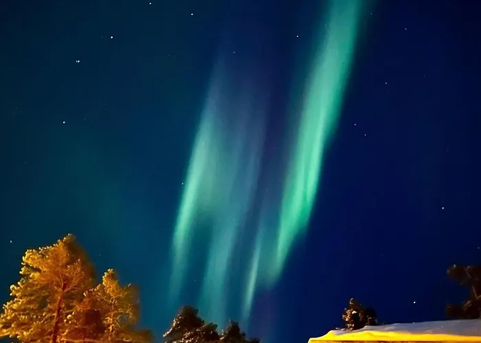 Villa Alveus - Nordic Design Cabin In Yllaes 콜라리