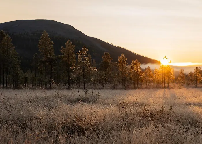 Villa Alveus - Nordic Design Cabin In Yllaes